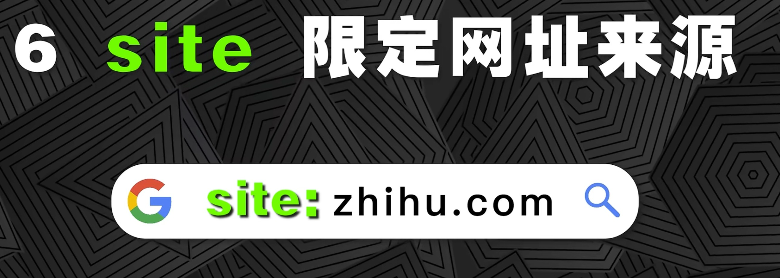 image-20231206231132894