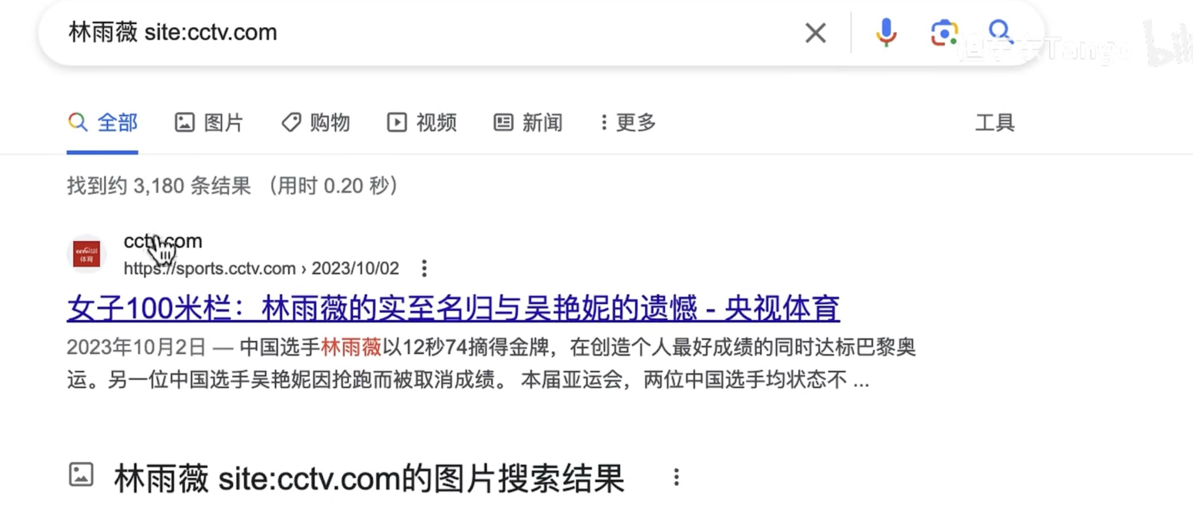 image-20231206231222293